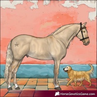 Horse Color:Palomino Dun