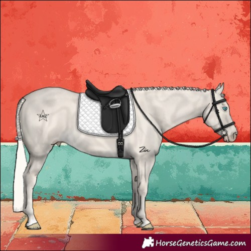 Horse Color:Cremello Dun