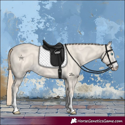 Horse Color:Perlino Dun 