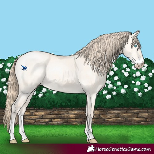 Horse Color:Perlino Dun Sabino