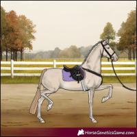 Horse Color:Smoky Creme Dun