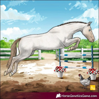 Horse Color:Smoky Creme Roan Dun