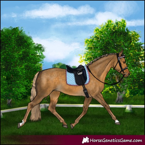 Horse Color:Chocolate Palomino Dun