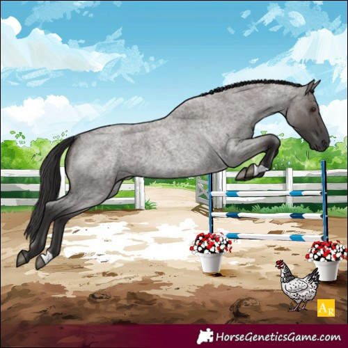 Horse Color:Smoky Grullo Roan