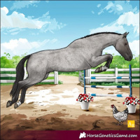 Horse Color:Smoky Grullo Roan 