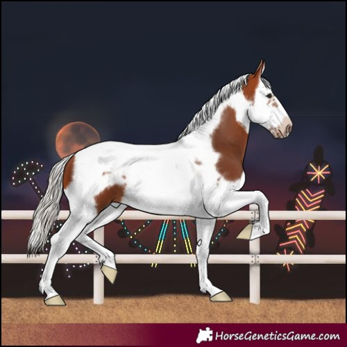 Horse Color:Silver Brown Splash Tobiano Frame 