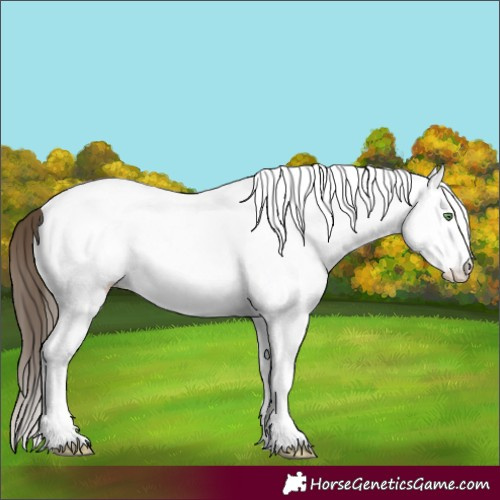 Horse Color:White Spotted Sable Cream Champagne Splash Tobiano 