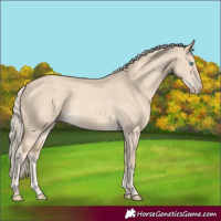 Horse Color:Cremello Dun 