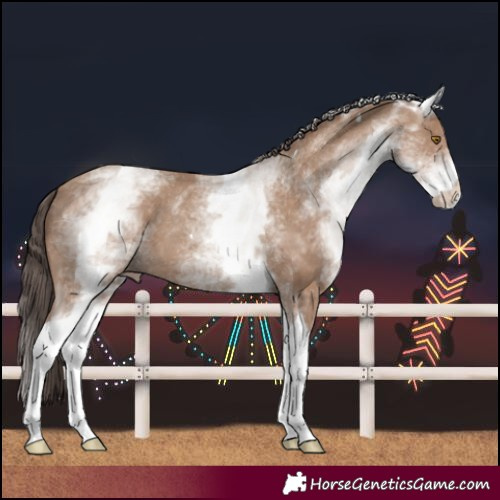 Horse Color:White Spotted Classic Champagne Tobiano 