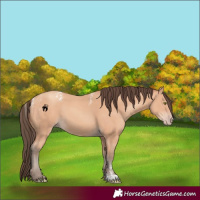 Horse Color:Powder White Amber Champagne 