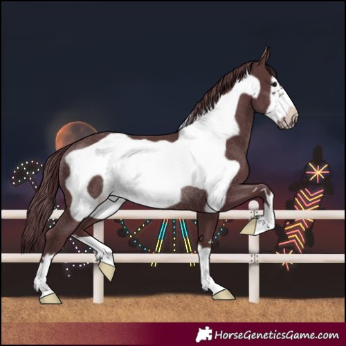 Horse Color:Chocolate Black Frame Rabicano 