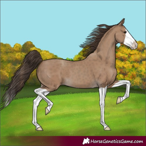 Horse Color:Classic Champagne Splash 