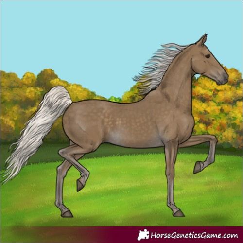 Horse Color:Silver Smoky Black 