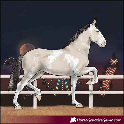 Horse Color:Classic Champagne Dun Sabino Splash 