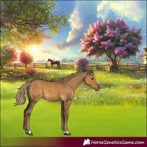 Horse Color:Chocolate Palomino Dun