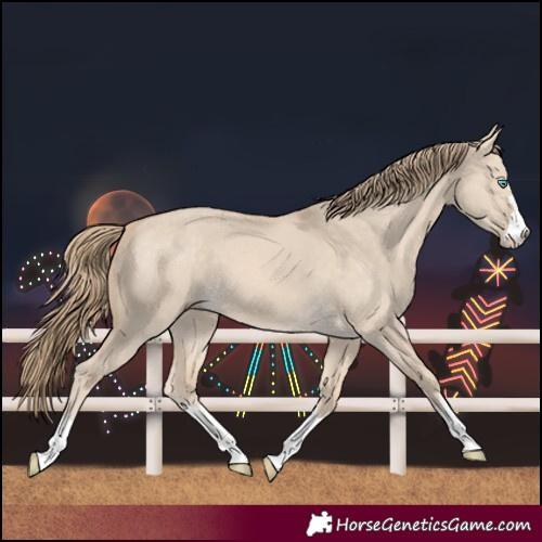 Horse Color:Perlino Dun 