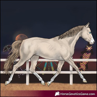 Horse Color:Perlino Dun 