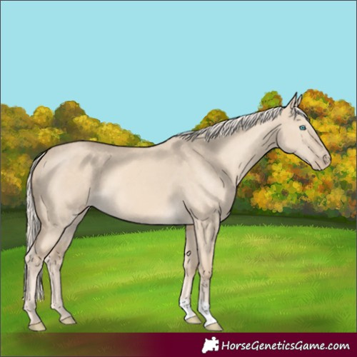 Horse Color:Cremello Dun 