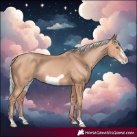Horse Color:Silver Amber Champagne Frame