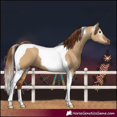 Horse Color:Gray Red Dun Tobiano