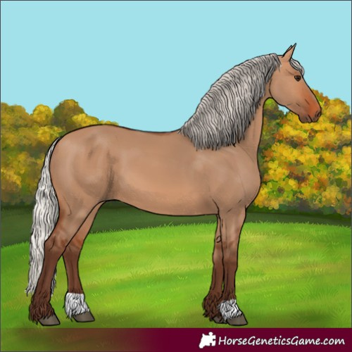 Horse Color:Silver Bay Dun 
