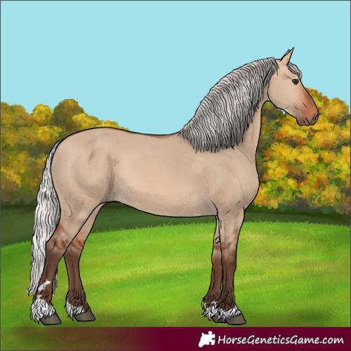 Horse Color:Silver Bay Dun