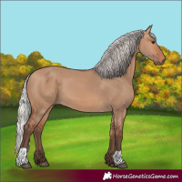 Horse Color:Silver Bay Dun 