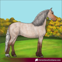 Horse Color:Silver Bay Roan Dun 