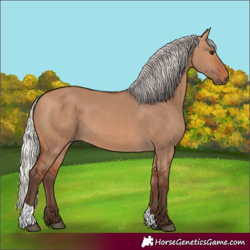 Horse Color:Silver Bay Dun 