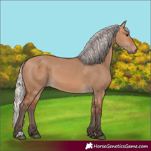 Horse Color:Silver Bay Dun
