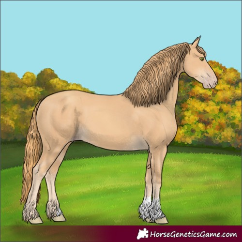 Horse Color:Gold Champagne 