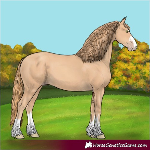 Horse Color:Gold Champagne 