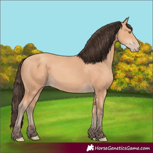 Horse Color:Amber Champagne 