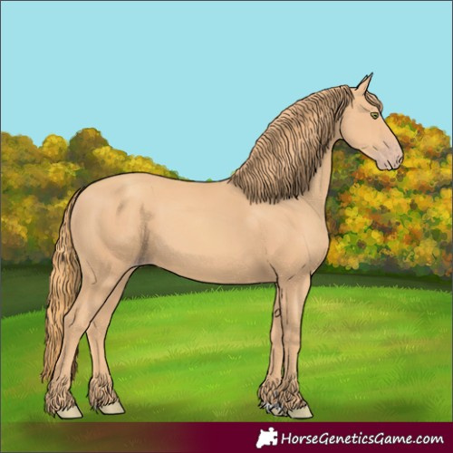 Horse Color:Gold Champagne 