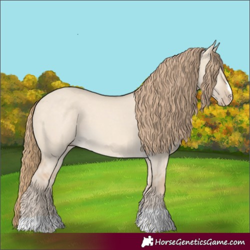 Horse Color:Perlino Dun
