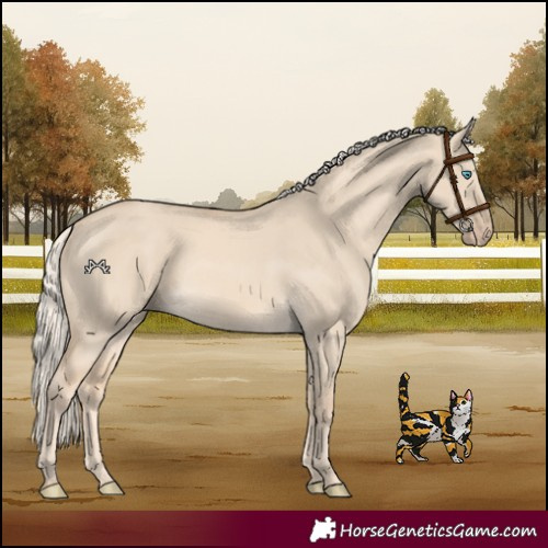 Horse Color:Cremello Dun 