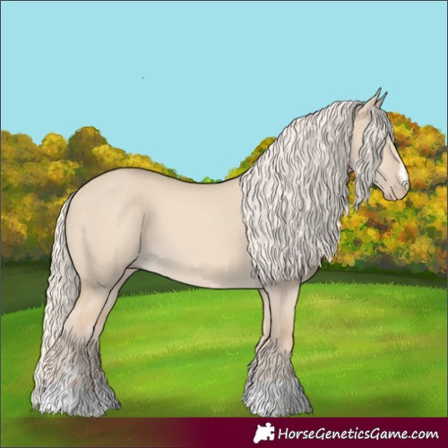 Horse Color:Cremello Dun