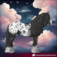 Horse Color:Black Blanket 