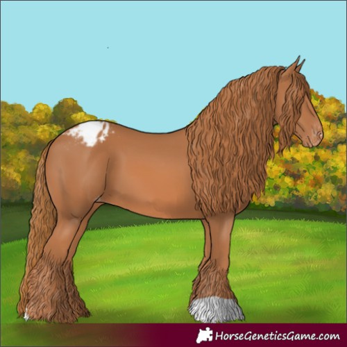 Horse Color:Chestnut Varnish 