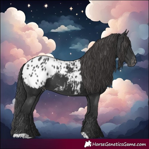 Horse Color:Black Blanket