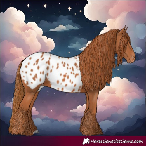 Horse Color:Chestnut Blanket 