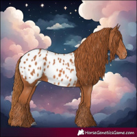 Horse Color:Chestnut Blanket