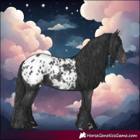 Horse Color:Black Blanket
