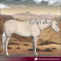 Horse Color:Cremello Dun Splash