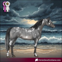 Horse Color:White Spotted Blue Roan 