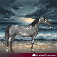 Horse Color:White Spotted Blue Roan 