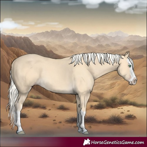 Horse Color:Gold Cream Champagne Splash