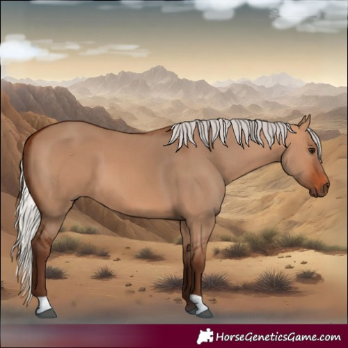 Horse Color:Silver Bay Dun