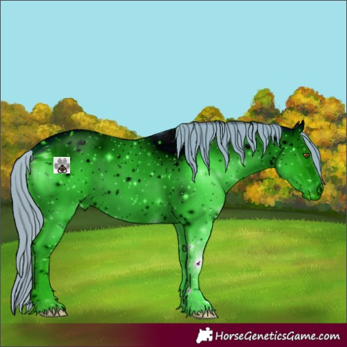 Horse Color:ERROR: UNKNOWN ANOMALY