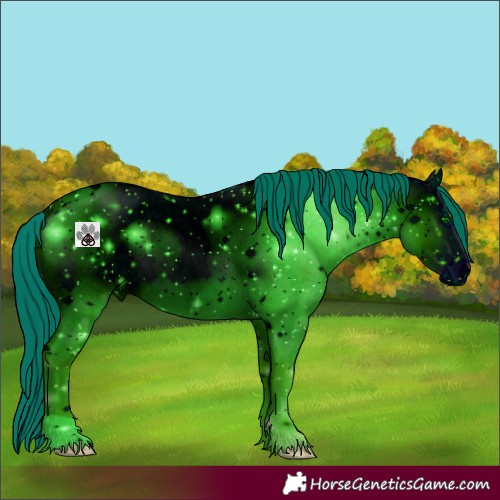 Horse Color:ERROR: UNKNOWN ANOMALY